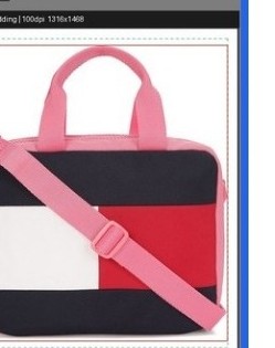 the retouched, cut-out bag